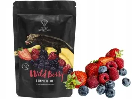 pokarm-dla-gekonow-gecko-nutrition-owoce-lesne-50g