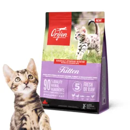 sucha-karma-orijen-kitten-malych-kotow-kociat-340g