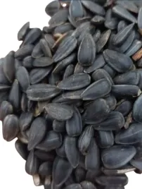 slonecznik-karma-dla-ptakow-czarny-5-kg-ziarno-nasiona-karmnik-gratis