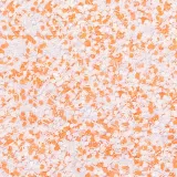 pylek-do-paznokci-rush-effect-nr-10-marka-allepaznokcie