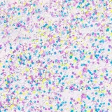 pylek-do-paznokci-rush-effect-nr-15-marka-allepaznokcie
