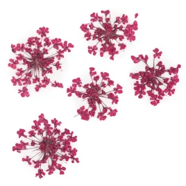 suszone-kwiatki-do-paznokci-mollylac-fuchsia
