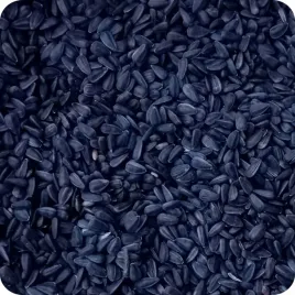 slonecznik-czarny-ziarno-dla-ptakow-bez-zanieczyszczen-przesiewany