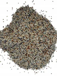 pokarm-dla-zeberki-amadyny-10kg-karma-dla-drobnej-egzotyki-gratis