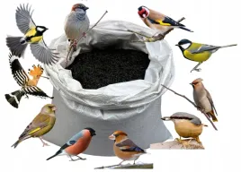 slonecznik-czarny-20-kg