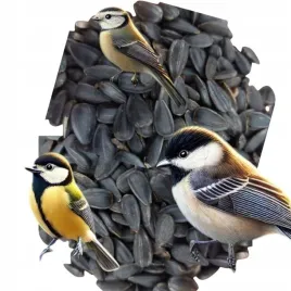 slonecznik-czarny-karma-dla-papug-i-ptakow-dzikich-karmnik-10kg-gratis