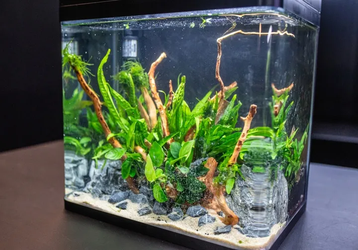invital-easytank-pro-led-30l-czarny-grubosc-szkla-1-mm