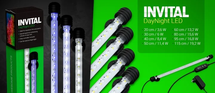 invital-daynight-led-6w-29cm