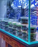 controsoil-3l-normal-substrat-japonski-marka-invital-rodzaj-naturalne