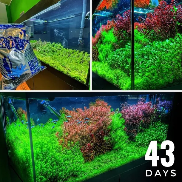 controsoil-3l-normal-substrat-japonski-marka-invital-frakcja-1-1-mm