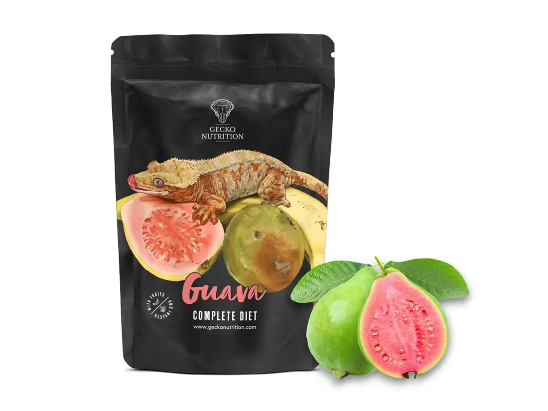 gecko-nutrition-guava-50-g