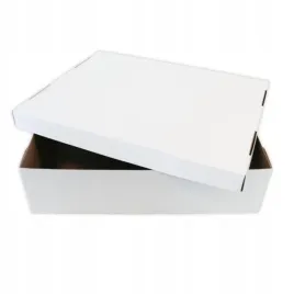 karton-pudelko-tacka-z-wiekiem-45x35x12-cm-pakiet-10szt