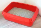super-benek-standard-naturalny-10l-active-marka-super-benek-pojemnosc-1-l