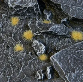 gamers-grass-special-tufts-2-mm-beige-tiny