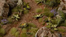 gamers-grass-laser-plants-dumb-cane-difenbachia