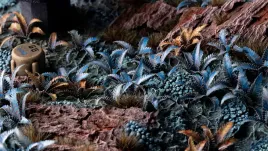 gamers-grass-laser-plants-alien-fern-paproc-kosmiczna