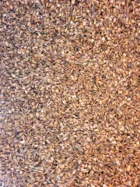 owies-gnieciony-pasza-zboze-dla-koni-kucy-20kg