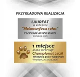 graw-tabliczka-mala-kolor-stan-nowy