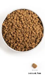 karma-dla-psow-malych-ras-orijen-small-breed-1-8-kg