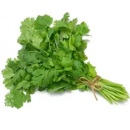 swieza-kolendra-1-peczek-aromatyczna-intensywna-do-kuchni-azjatyckiej