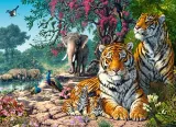 puzzle-300-elementow-tiger-sanctuary-stan-nowy