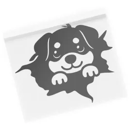naklejka-pies-rasy-cavalier-king-charles-spaniel-pies-z-nami-w-aucie
