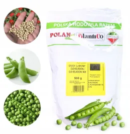 groch-siewny-luskowy-cud-kelvedonu-nasiona-warzyw-duze-opakowanie-500g