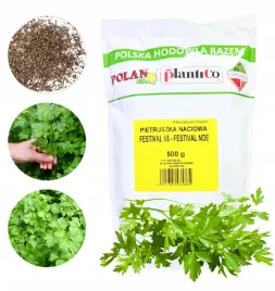 pietruszka-naciowa-festival-68-nasiona-warzyw-duze-opakowanie-nasion-500g