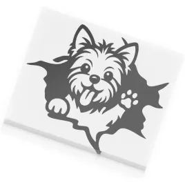 naklejka-yorkshire-terrier-pies-wychodzi-z-dziury-uwaga-pies-w-aucie