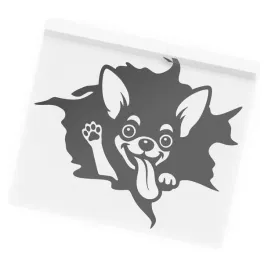 naklejka-pies-chihuahua-wylaniajacy-sie-z-dziury-pies-z-nami-w-aucie