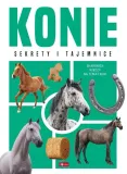 konie-anna-willman