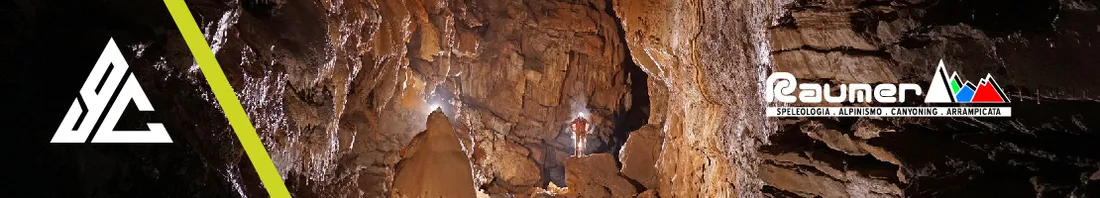 plakietka-ring-raumer-anellox-10