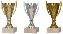 komplet-puchar-trofea-9082-rodzina-grawer