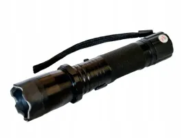 paralizator-5-mln-v-z-latarka-led