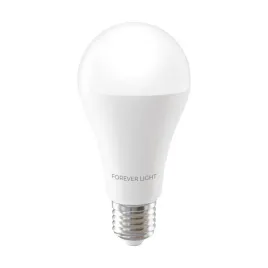forever-light-zarowka-led-e27-a65-17w-2100lm-3000k-klasa-e