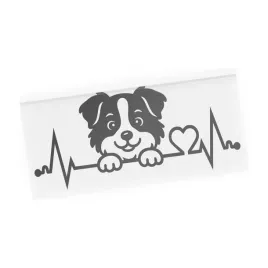 naklejka-pies-w-samochodzie-border-collie-z-linia-zycia-i-sercem-ekg
