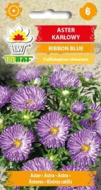 aster-karlowy-ribbon-blue-05g-toraf