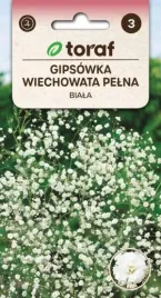 gipsowka-wiechowata-pelna-biala-05g-toraf
