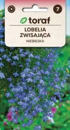 lobelia-zwisajaca-niebieska-01g-toraf