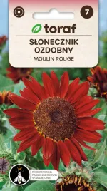 slonecznik-ozdobny-moulin-rouge-2g-toraf