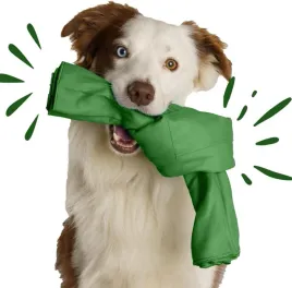 edukacyjna-zabawka-wechowa-dla-psa-mata-wechowa-i-szarpak-2w1-snuffle-knot