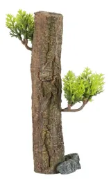 zolux-dekoracja-drzewo-forest-xs-do-akwarium