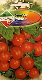 pomidor-czeresniowy-pokusa-05g-spojnia