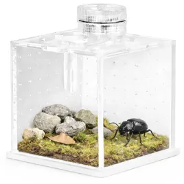 terrario-spidernook-l-mini-terrarium-akrylowe-z-oswietleniem