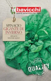 szpinak-gigante-de-invierno-wloskie-nasiona-bavicchi-25g