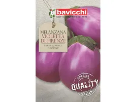 oberzyna-baklazan-violetta-di-firenze-wloskie-nasiona-bavicchi-2g