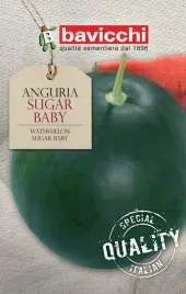 arbuz-sugar-baby-wloskie-nasiona-bavicchi-3g