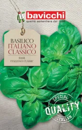 bazylia-italiano-classico-2g-wloskie-nasiona-bavicchi