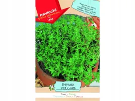 tymianek-wloskie-nasiona-bavicchi-05g