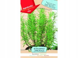 rozmaryn-wloskie-nasiona-ziol-bavicchi-004g